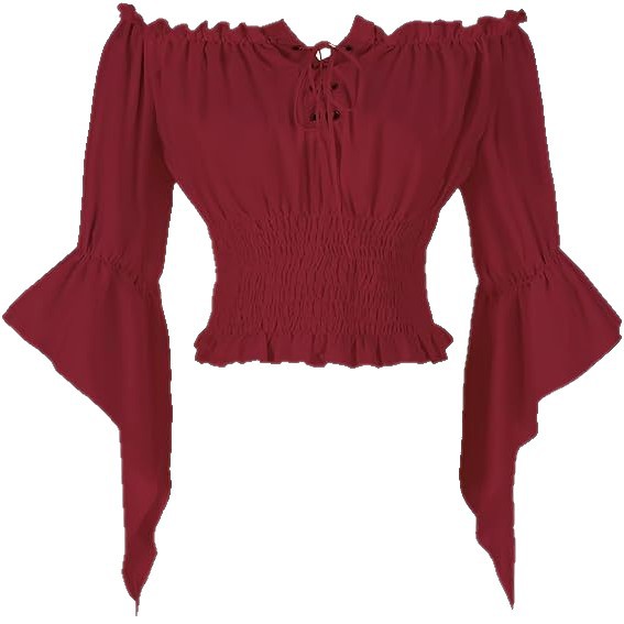 Renaissance Medieval Aristocra - Off Shoulder Blouse 评论和价格
